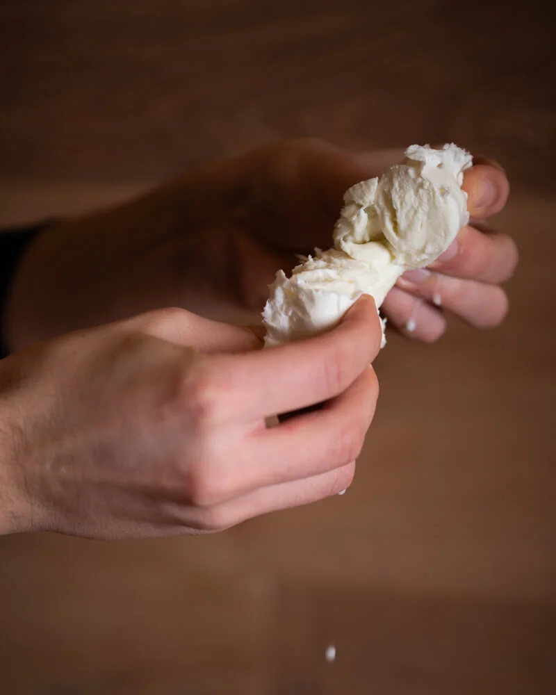 Trattoria-garbatella-mozzarella